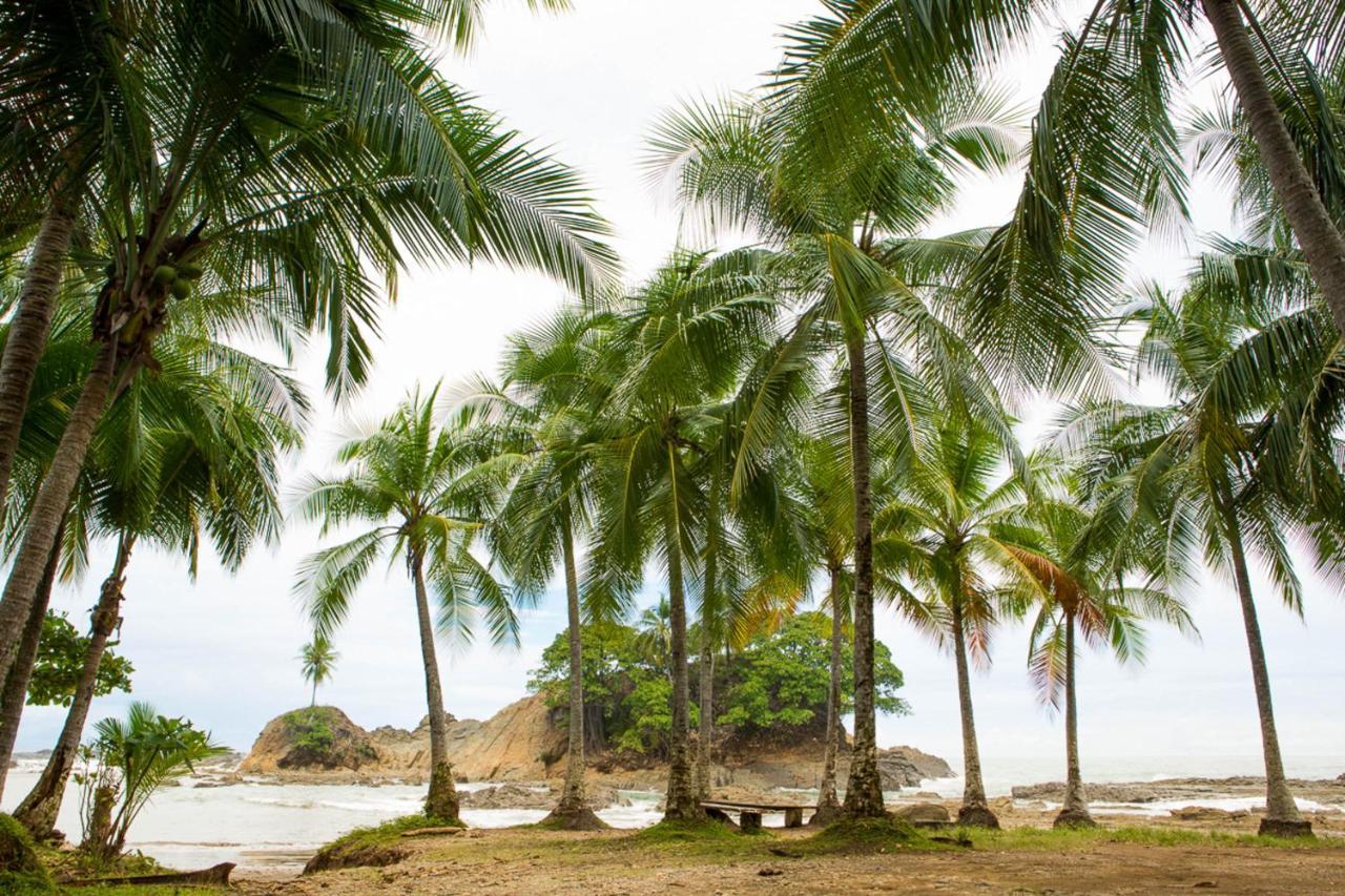 Pacific Edge Eco Lodge Dominical Esterno foto