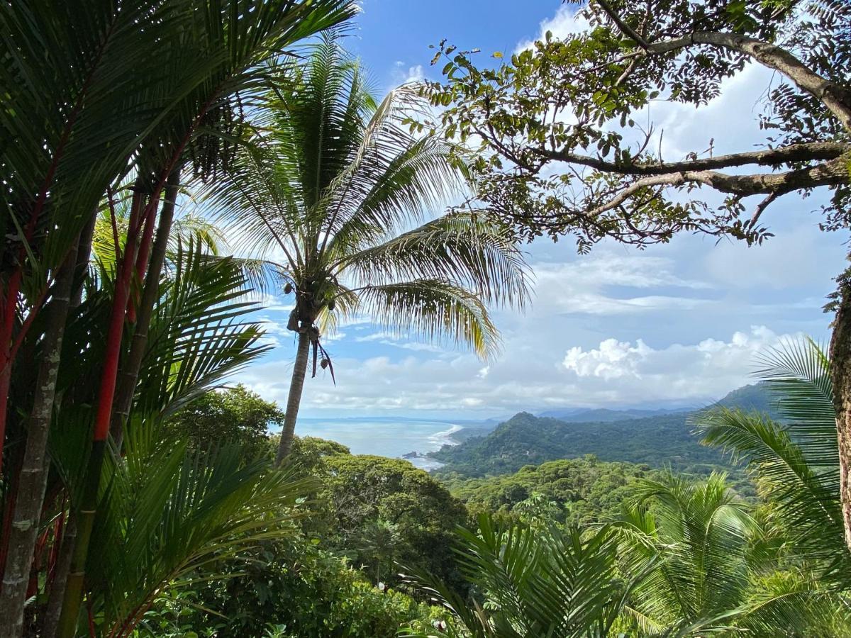 Pacific Edge Eco Lodge Dominical Esterno foto