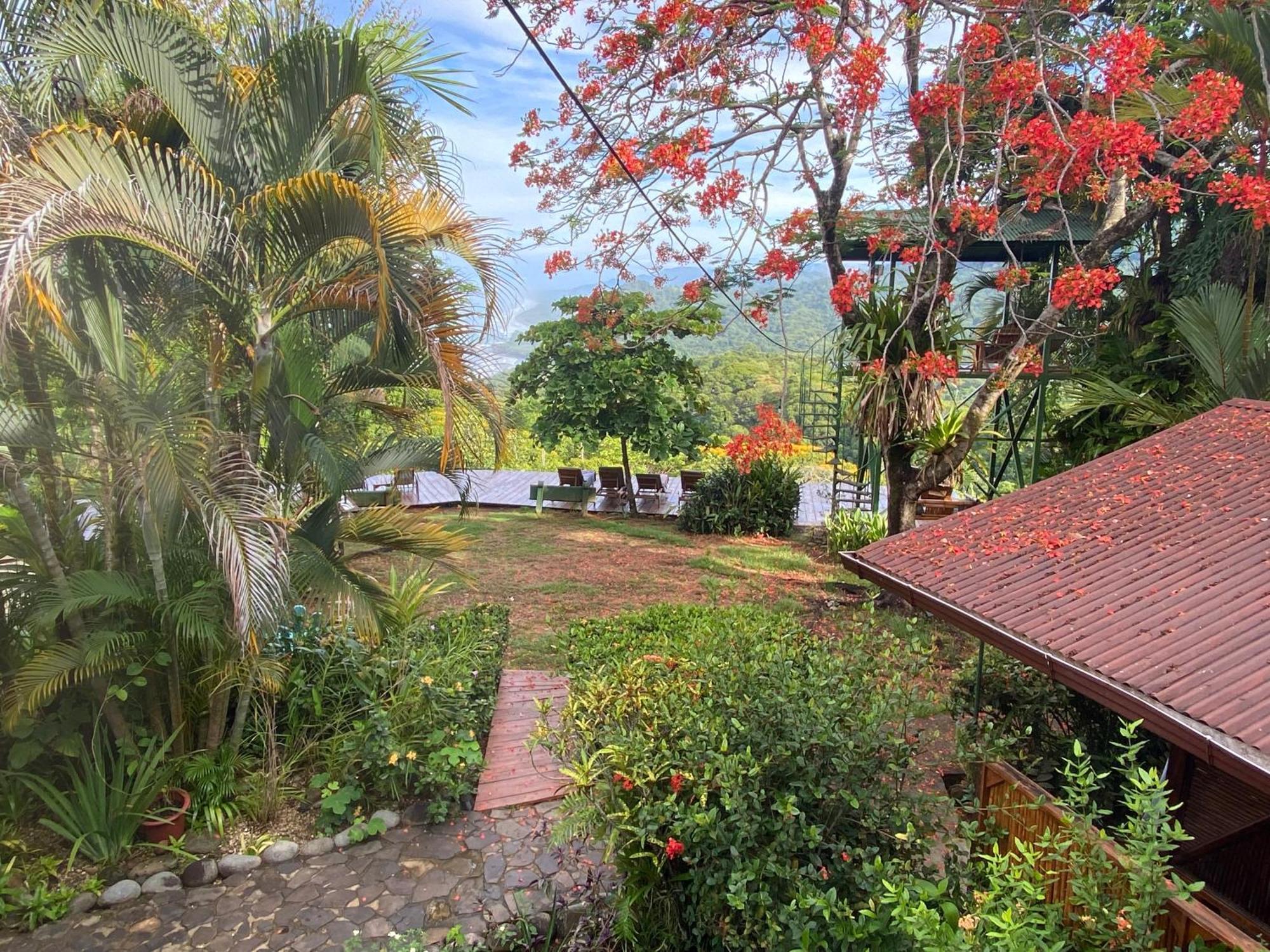 Pacific Edge Eco Lodge Dominical Esterno foto